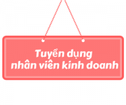 Tuyen nhan vien sale kinh doanh ban hang tai TpHCM Binh Thanh pcccsaigon.com