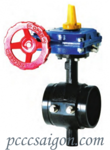 300 PSI Butterfly Valve - Grooved Tapped Body