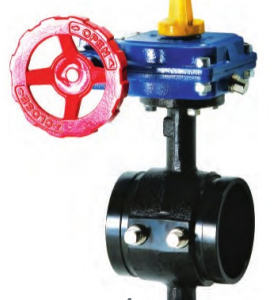 300 PSI Butterfly Valve -
 Grooved Tapped Body